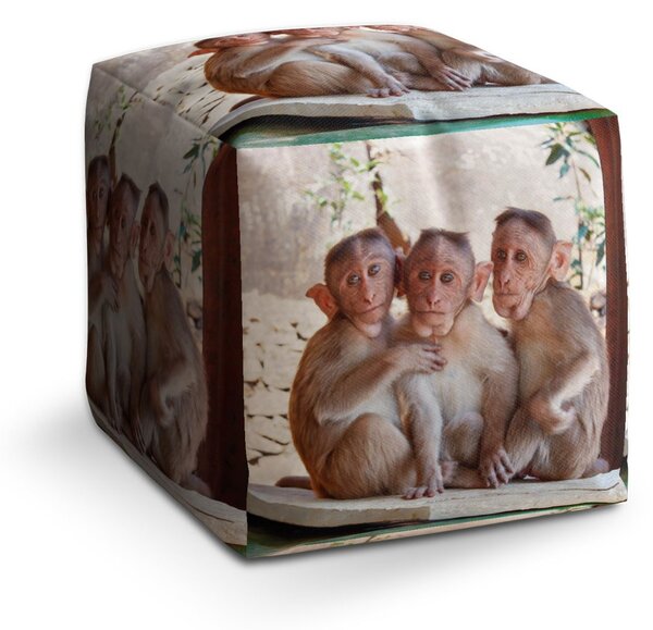 Sablio Taburet Cube Opičky: 40x40x40 cm