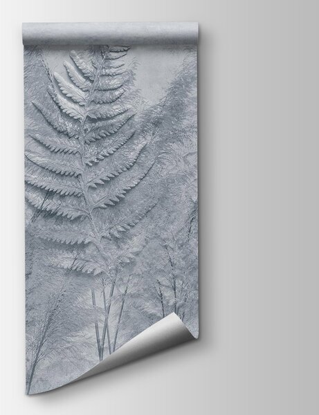 Fototapeta Skupina kapradinových listů, Přírodní fototapety, Populární fototapety, w03316v1 - Tapeko.co.cz