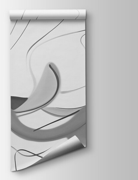Fototapeta Černobílý obraz vířivého vzoru, Abstraktní fototapety, Populární fototapety, w03590v1 - Tapeko.co.cz