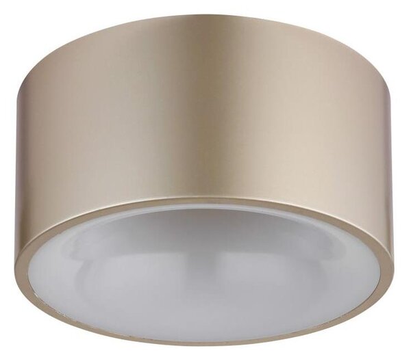Globo 56964G - LED Stropní svítidlo RAYMOND LED/12W/230V pr. 15 cm 3000K mosaz