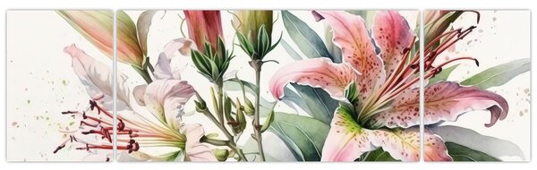Obraz - Lilie, ilustrace (170x50 cm)