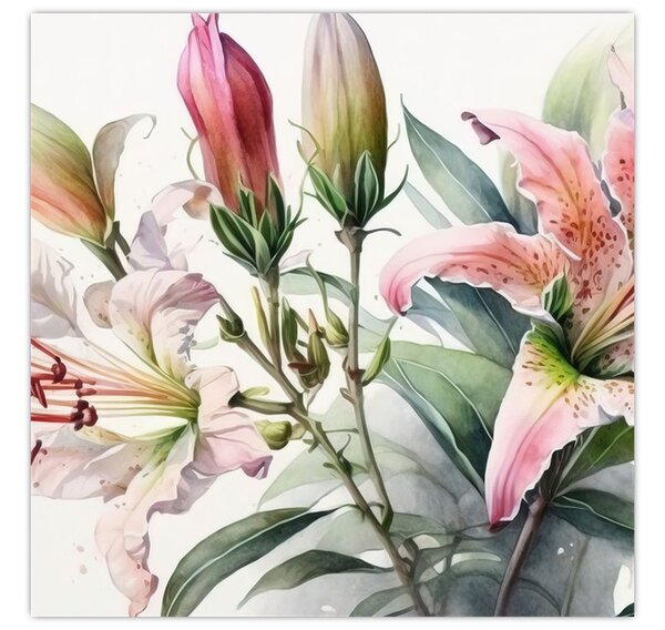 Obraz - Lilie, ilustrace (30x30 cm)