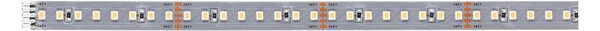 P 71245 MaxLED 1000 LED Strip teplá bílá pouze pásek 1m 7,2W 1100lm/m 128 LEDs/m 2700K - PAULMANN