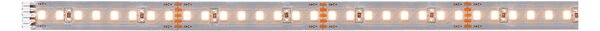 P 71245 MaxLED 1000 LED Strip teplá bílá pouze pásek 1m 7,2W 1100lm/m 128 LEDs/m 2700K - PAULMANN