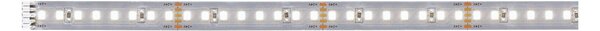 P 71250 MaxLED 1000 LED Strip neutrální bílá pouze pásek 1m 7,2W 1100lm/m 128 LEDs/m 4000K - PAULMANN