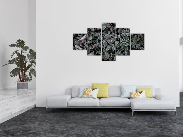 Obraz - Zmrzlé rostliny (125x70 cm)