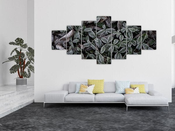 Obraz - Zmrzlé rostliny (210x100 cm)