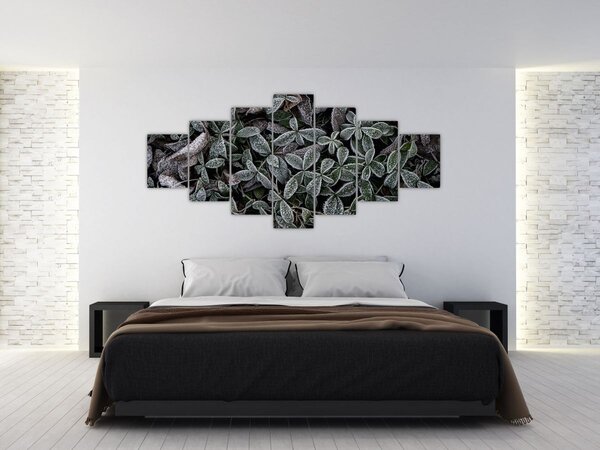 Obraz - Zmrzlé rostliny (210x100 cm)