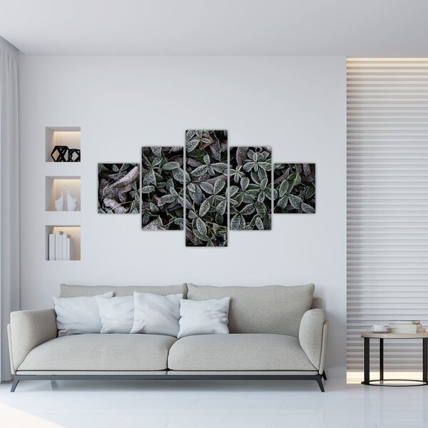 Obraz - Zmrzlé rostliny (125x70 cm)