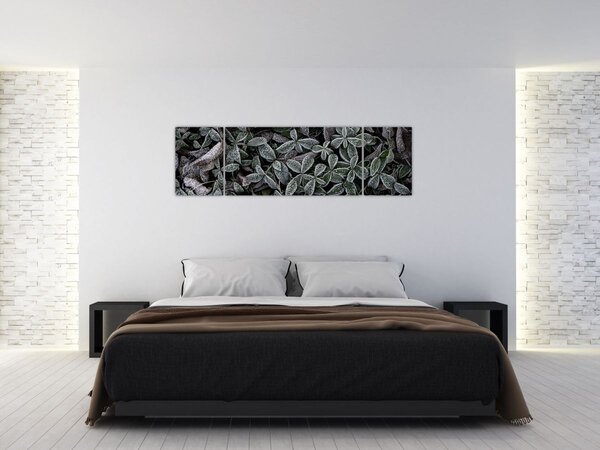 Obraz - Zmrzlé rostliny (170x50 cm)