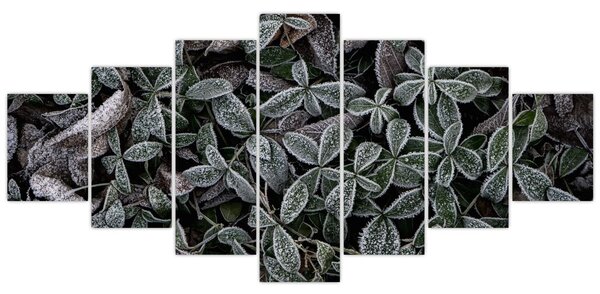 Obraz - Zmrzlé rostliny (210x100 cm)