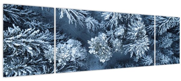 Obraz - Zasněžený les (170x50 cm)
