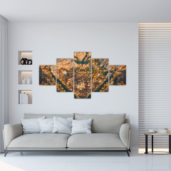 Obraz - Řeka ve tvaru srdce (125x70 cm)