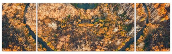 Obraz - Řeka ve tvaru srdce (170x50 cm)