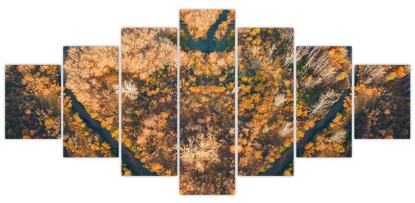 Obraz - Řeka ve tvaru srdce (210x100 cm)