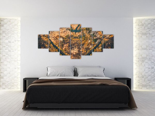 Obraz - Řeka ve tvaru srdce (210x100 cm)