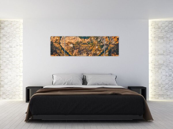 Obraz - Řeka ve tvaru srdce (170x50 cm)