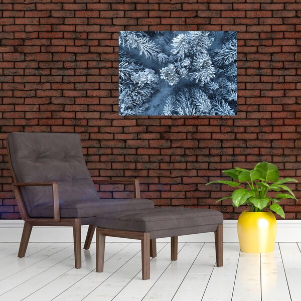 Obraz - Zasněžený les (70x50 cm)
