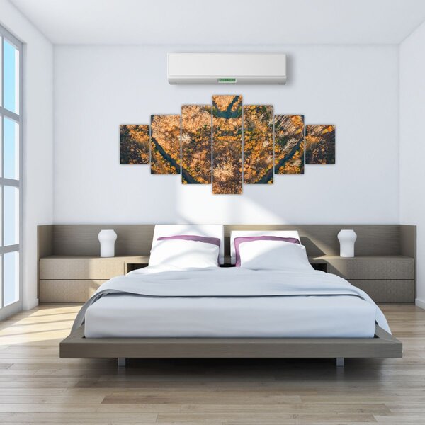 Obraz - Řeka ve tvaru srdce (210x100 cm)