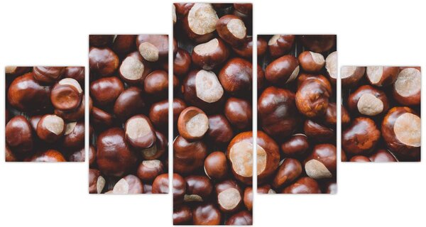 Obraz - Zralé kaštany (125x70 cm)