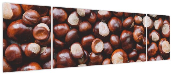 Obraz - Zralé kaštany (170x50 cm)