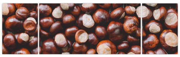 Obraz - Zralé kaštany (170x50 cm)