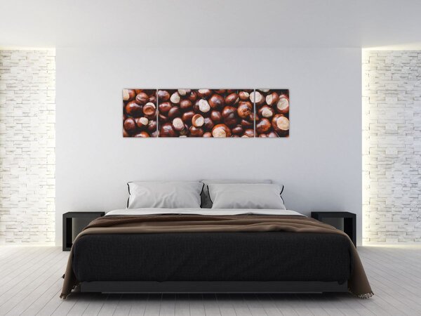 Obraz - Zralé kaštany (170x50 cm)