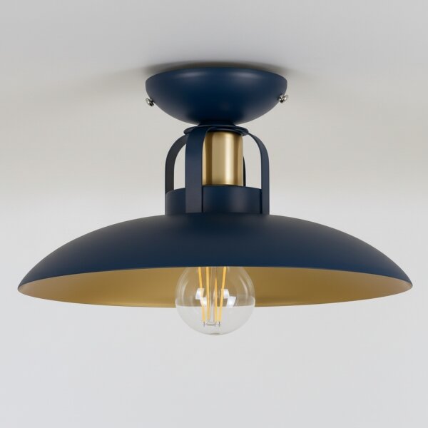 Brilagi - LED Přisazený lustr FLAMENGO 1xE27/60W/230V modrá