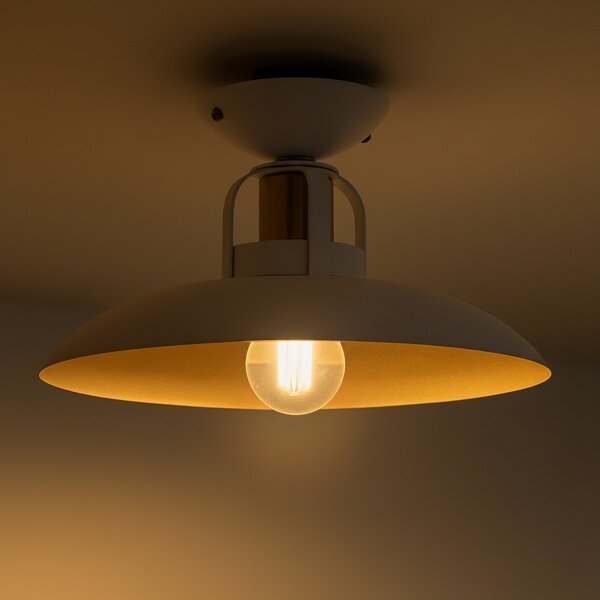 Brilagi - LED Přisazený lustr FLAMENGO 1xE27/60W/230V bílá