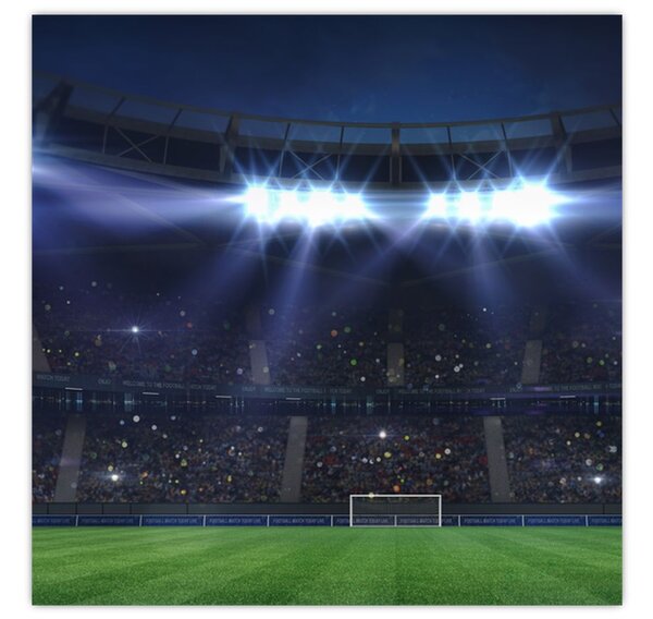 Obraz - Fotbalový stadion (30x30 cm)