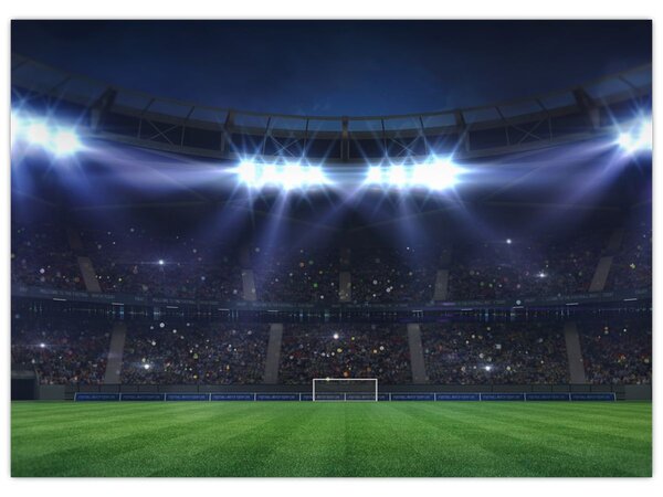 Obraz - Fotbalový stadion (70x50 cm)