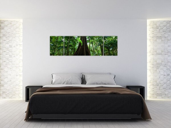Obraz - Kořeny stromu (170x50 cm)