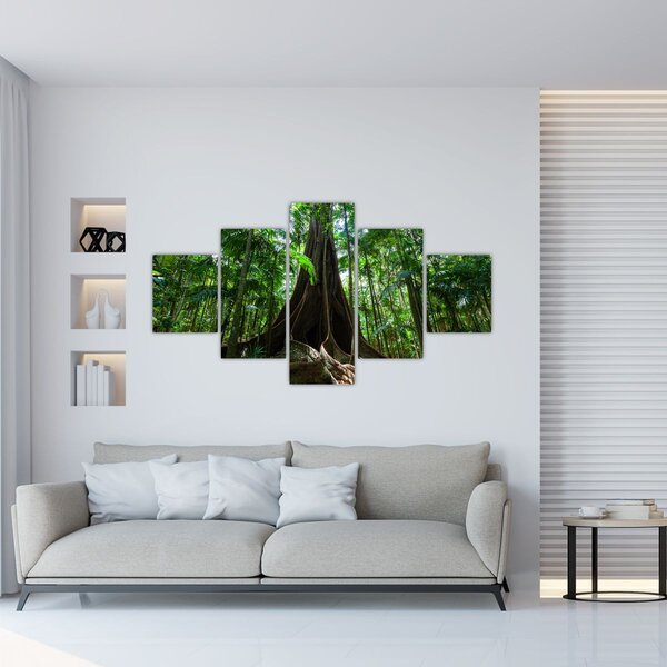 Obraz - Kořeny stromu (125x70 cm)