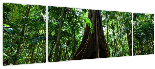 Obraz - Kořeny stromu (170x50 cm)