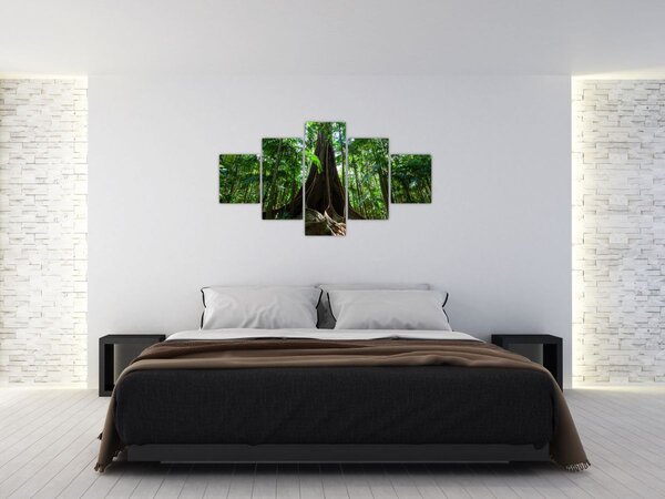 Obraz - Kořeny stromu (125x70 cm)