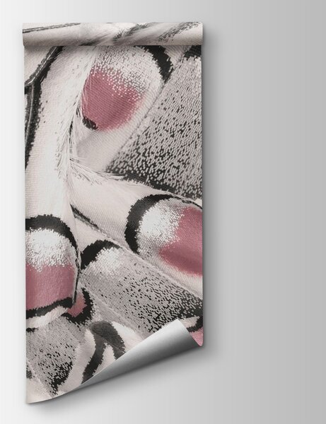 Fototapeta Složité vzory přírody se krásně rozvíjejí, Fototapety s motýly, Populární fototapety, w03906v1 - Tapeko.co.cz