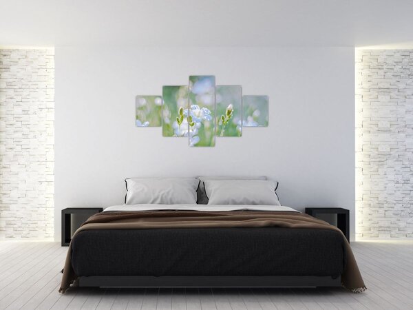 Obraz - Jemné květy (125x70 cm)