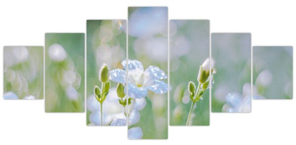 Obraz - Jemné květy (210x100 cm)