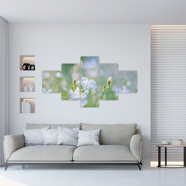Obraz - Jemné květy (125x70 cm)