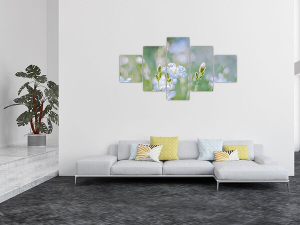 Obraz - Jemné květy (125x70 cm)
