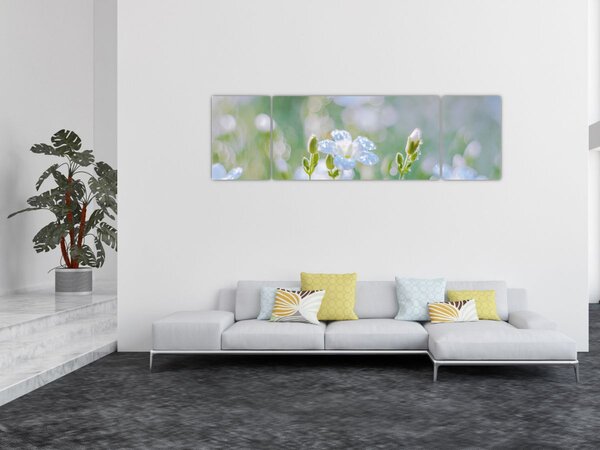 Obraz - Jemné květy (170x50 cm)