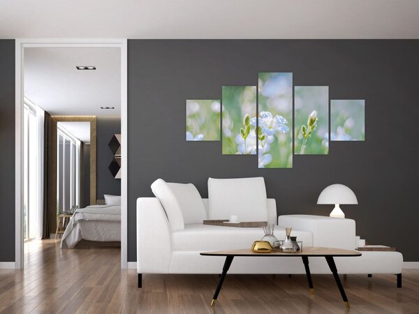 Obraz - Jemné květy (125x70 cm)