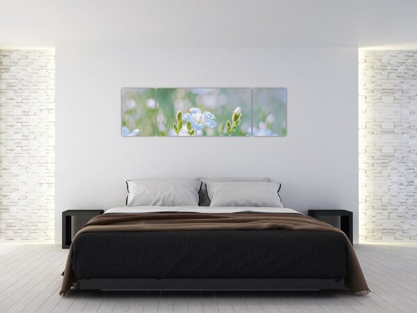 Obraz - Jemné květy (170x50 cm)