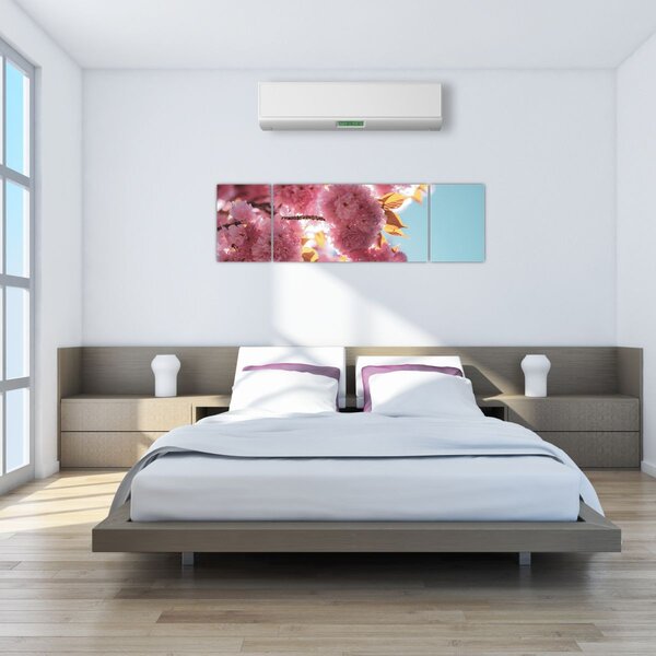 Obraz - Třešňový květ (170x50 cm)