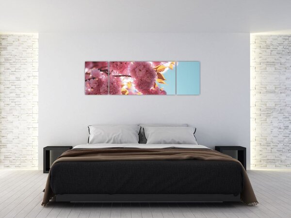 Obraz - Třešňový květ (170x50 cm)