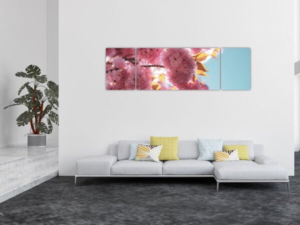 Obraz - Třešňový květ (170x50 cm)
