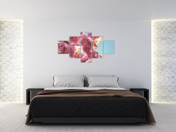 Obraz - Třešňový květ (125x70 cm)