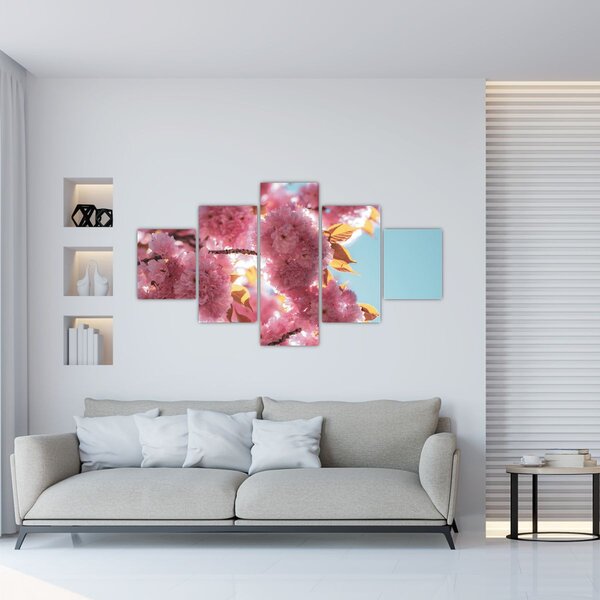 Obraz - Třešňový květ (125x70 cm)
