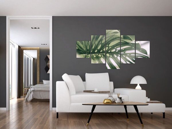 Obraz - List monstery (125x70 cm)