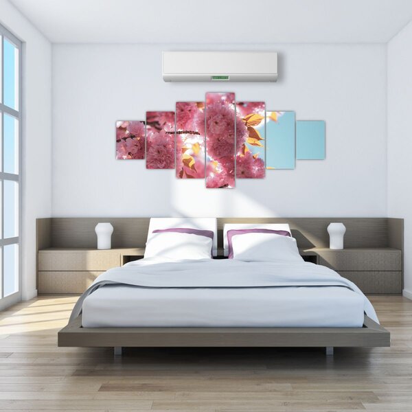 Obraz - Třešňový květ (210x100 cm)
